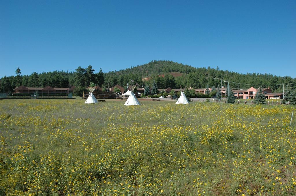Mountain Ranch Resort At Beacon Hill ويليامز المظهر الخارجي الصورة